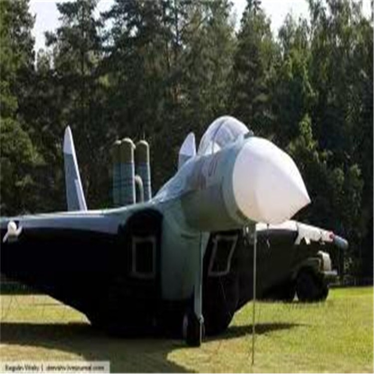 银海充气模型飞机制造商家